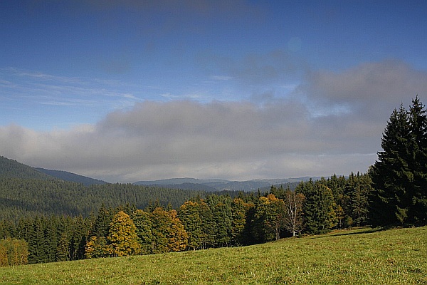 Šumava