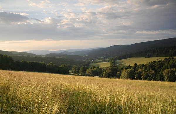 Šumava
