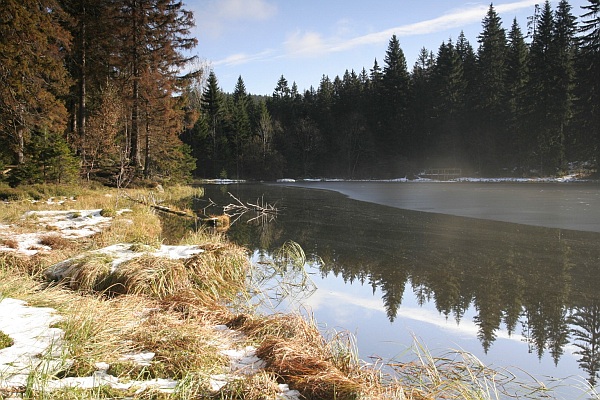 Šumava