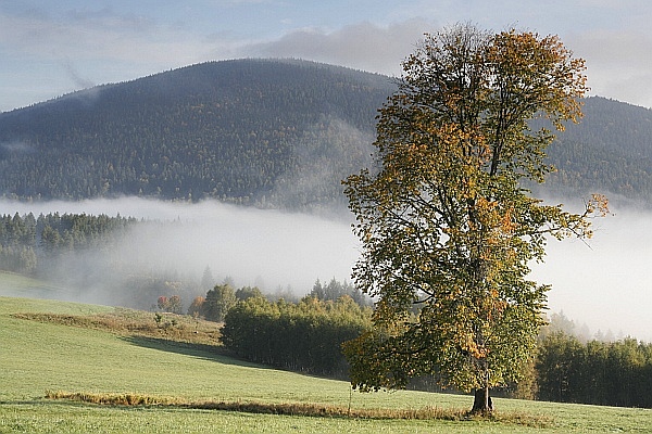 Šumava