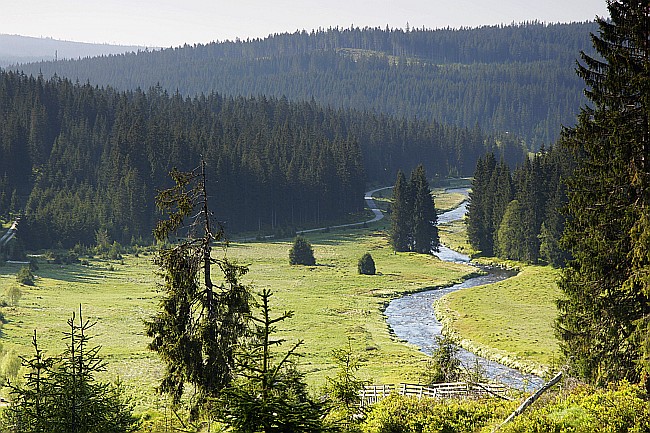 Šumava