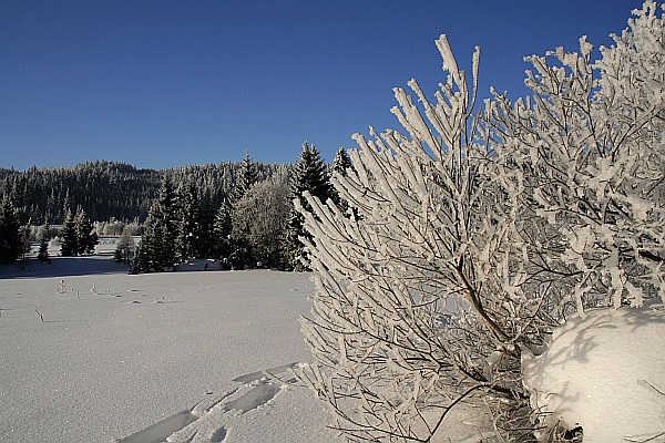 Sníh - Šumava