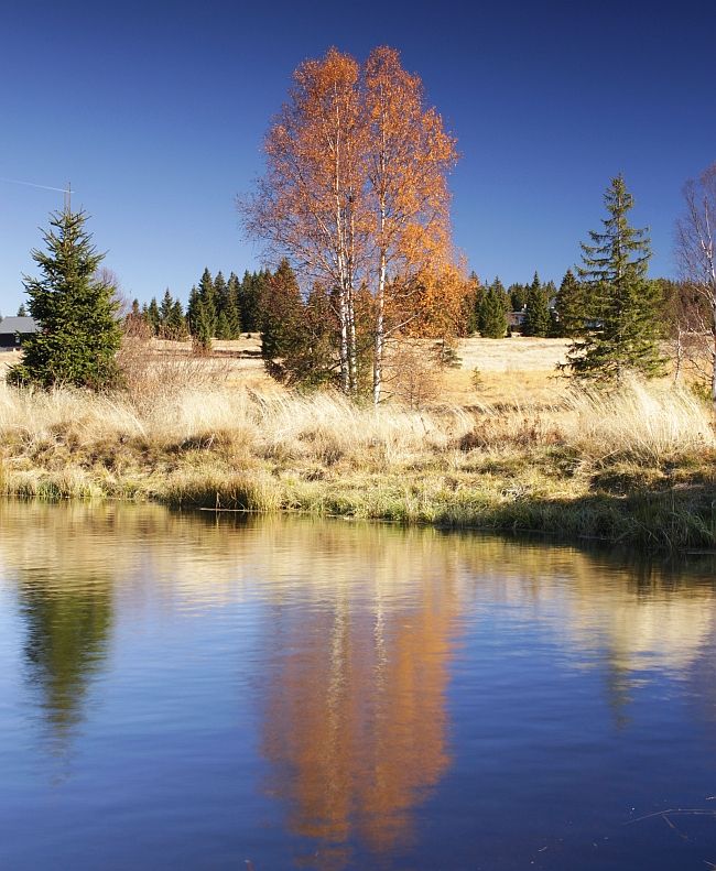 Šumava - podzim