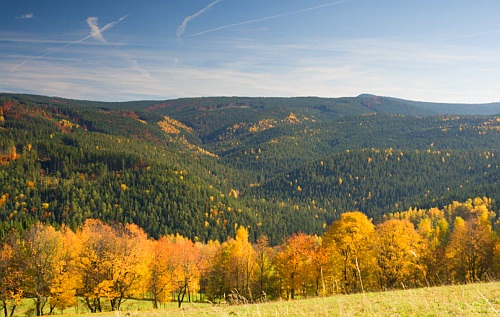 Šumava