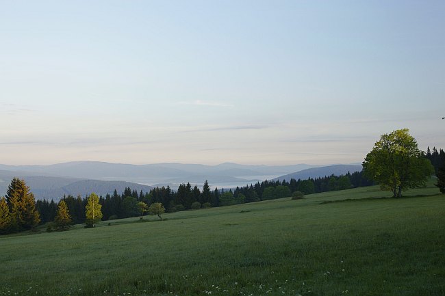 Šumava
