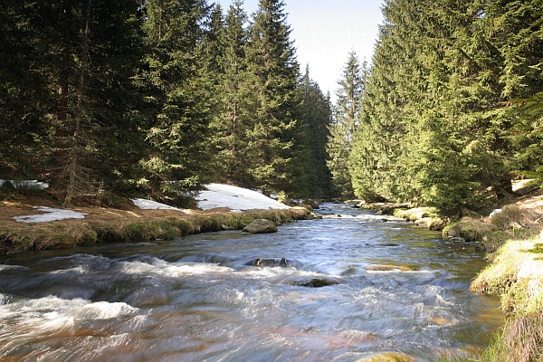 Šumava
