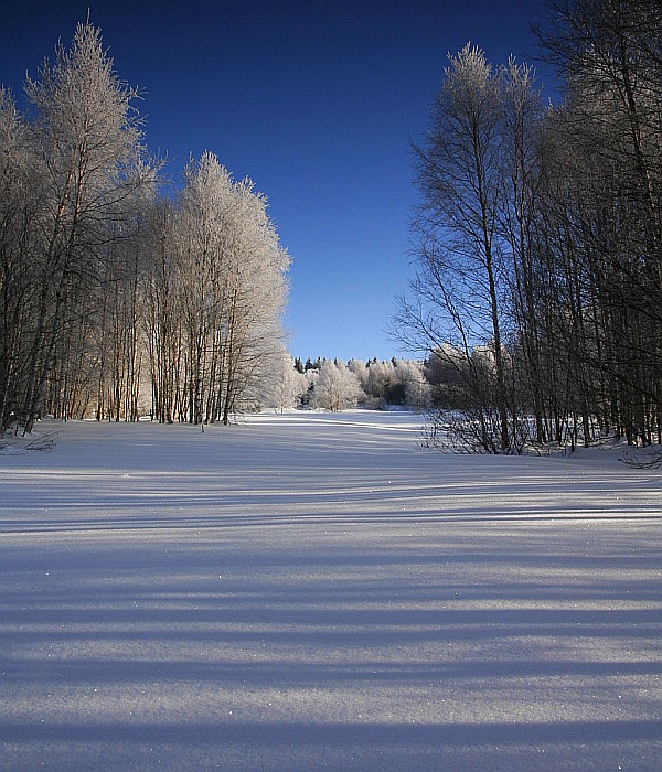 Sníh - Šumava