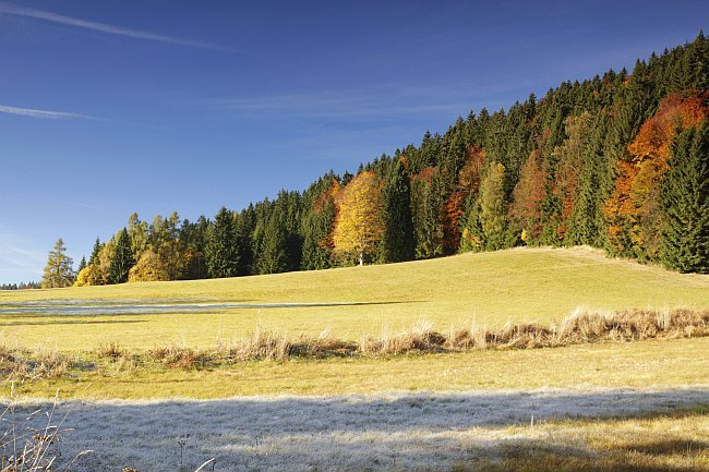 Šumava