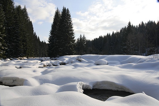 Šumava
