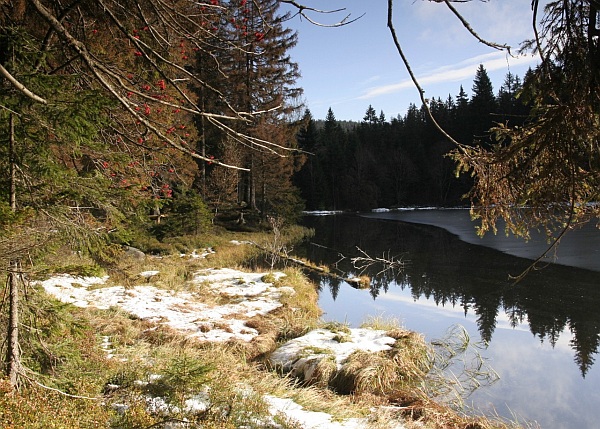 Šumava