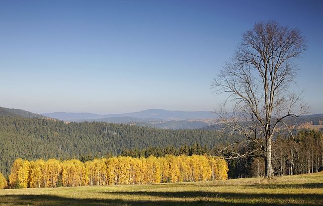Šumava - podzim