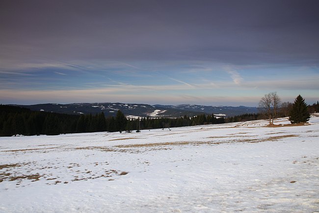 Šumava