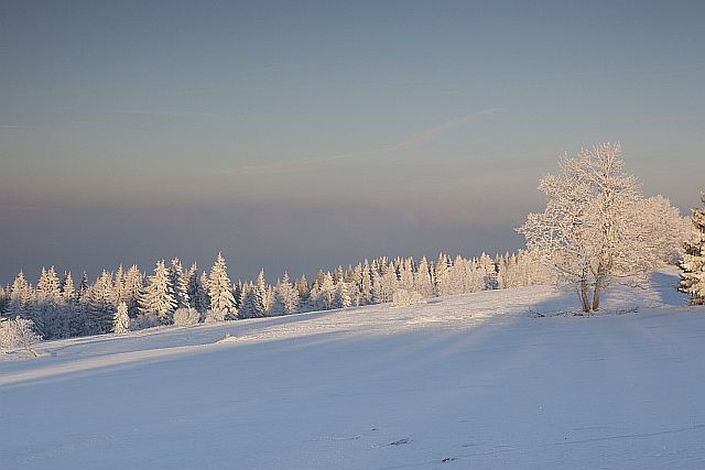 Šumava