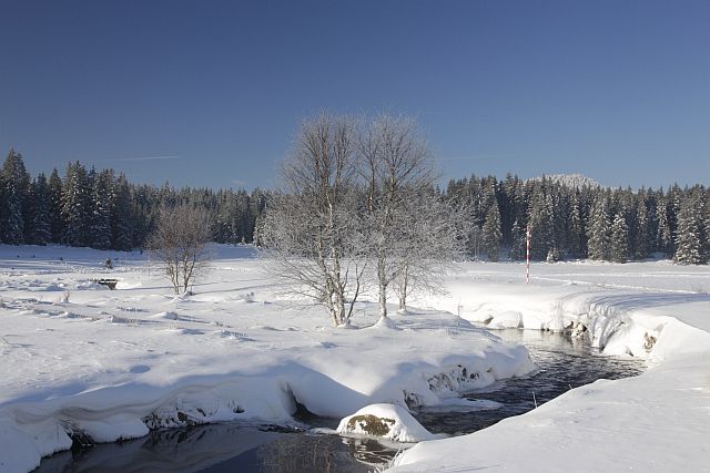 Šumava