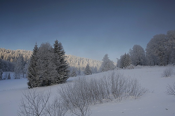 Sníh - Šumava