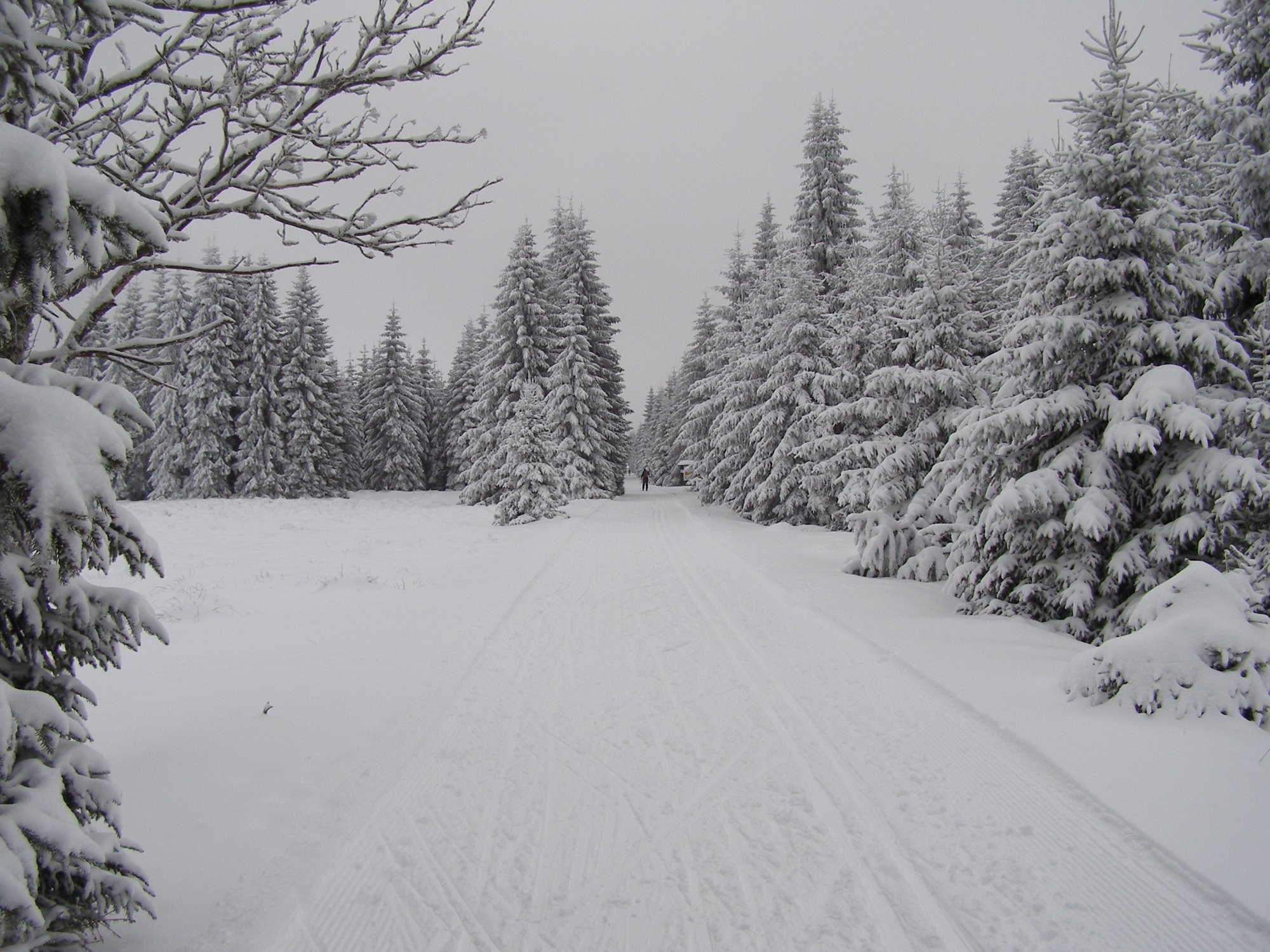 Zima na Božím Daru