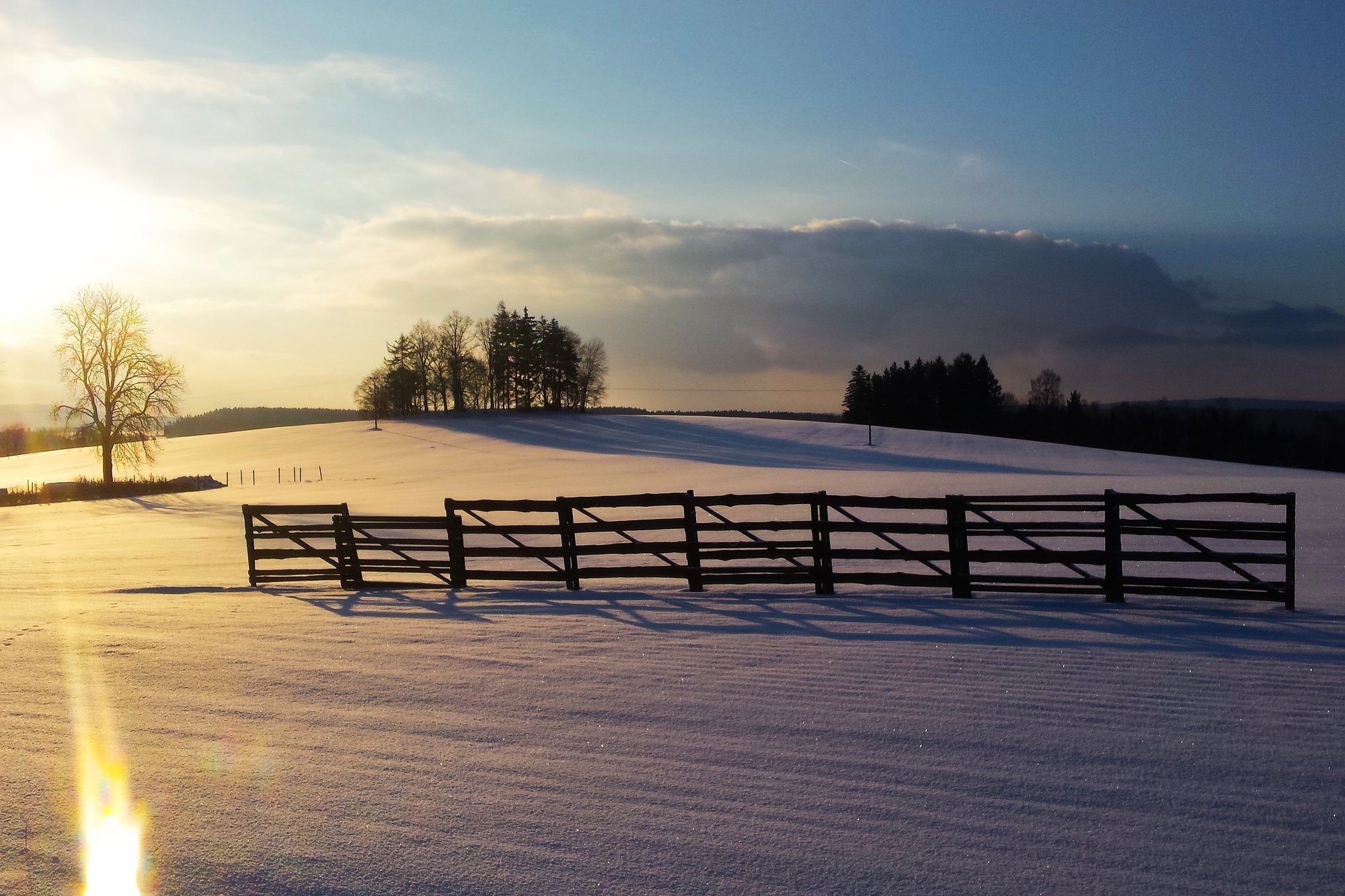 Podvečer u Proseče