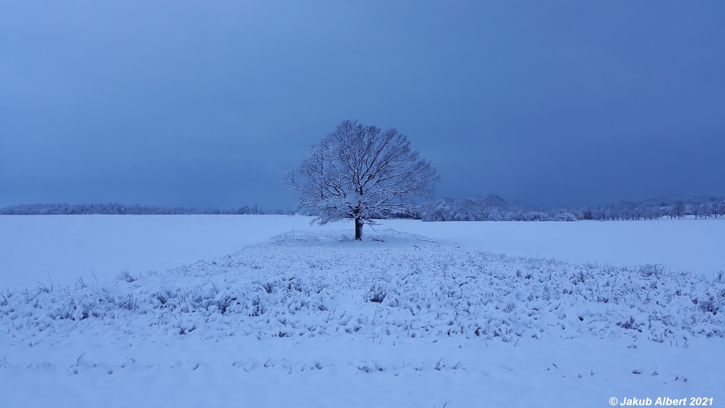 Sníh na okraji Prahy