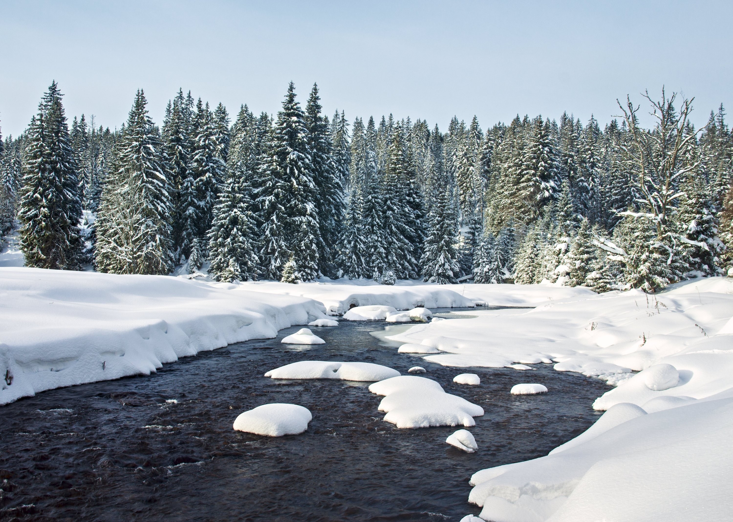 Prachový sníh na Modravě