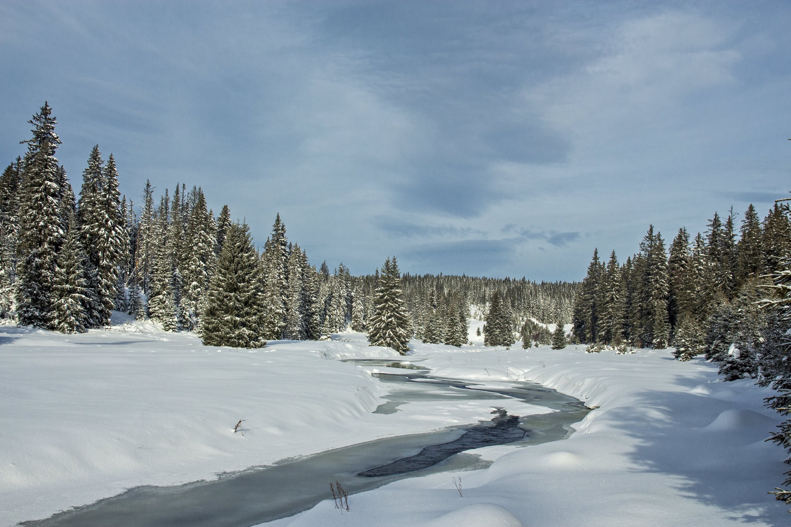 Prachový sníh na Modravě