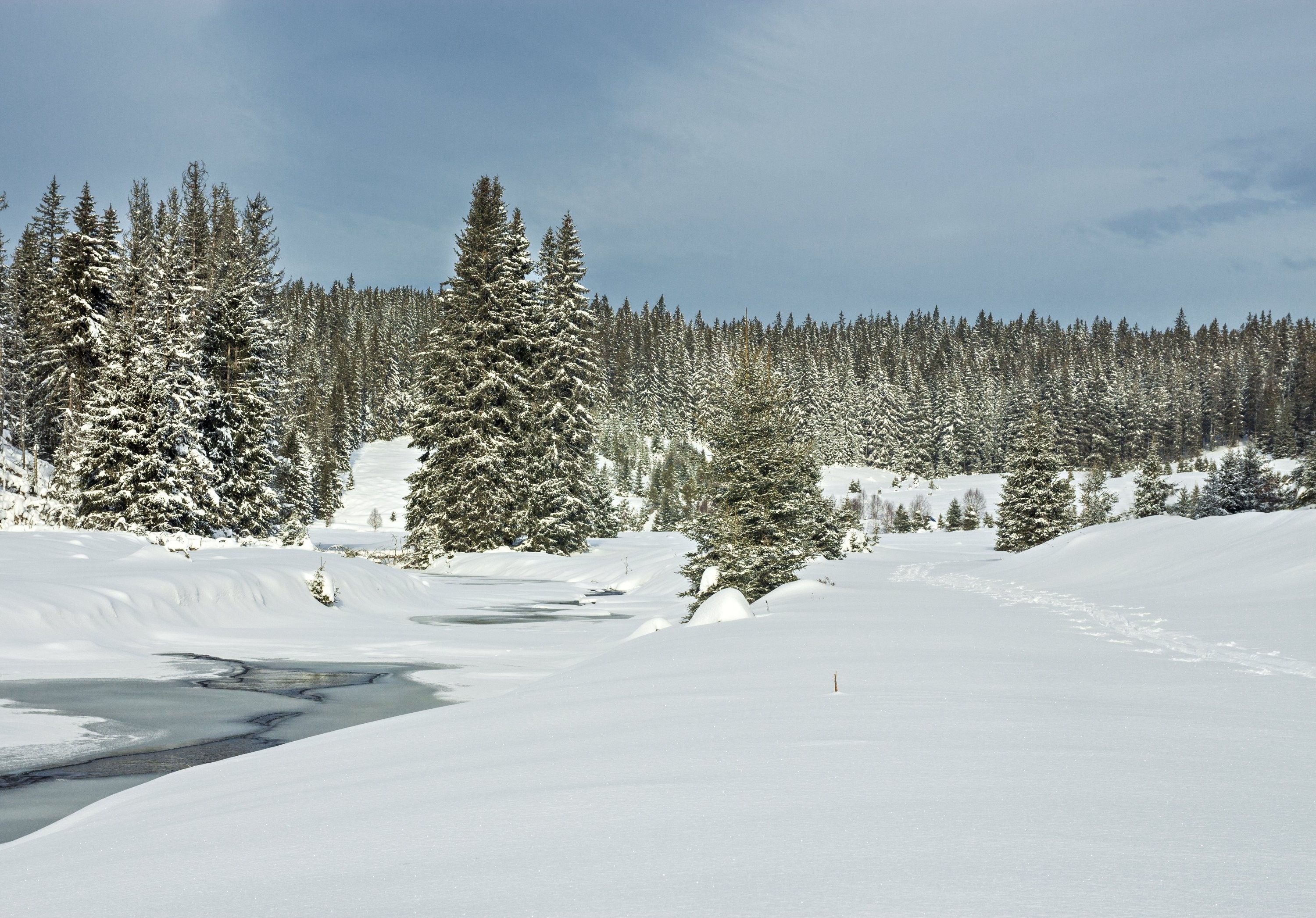 Prachový sníh na Modravě