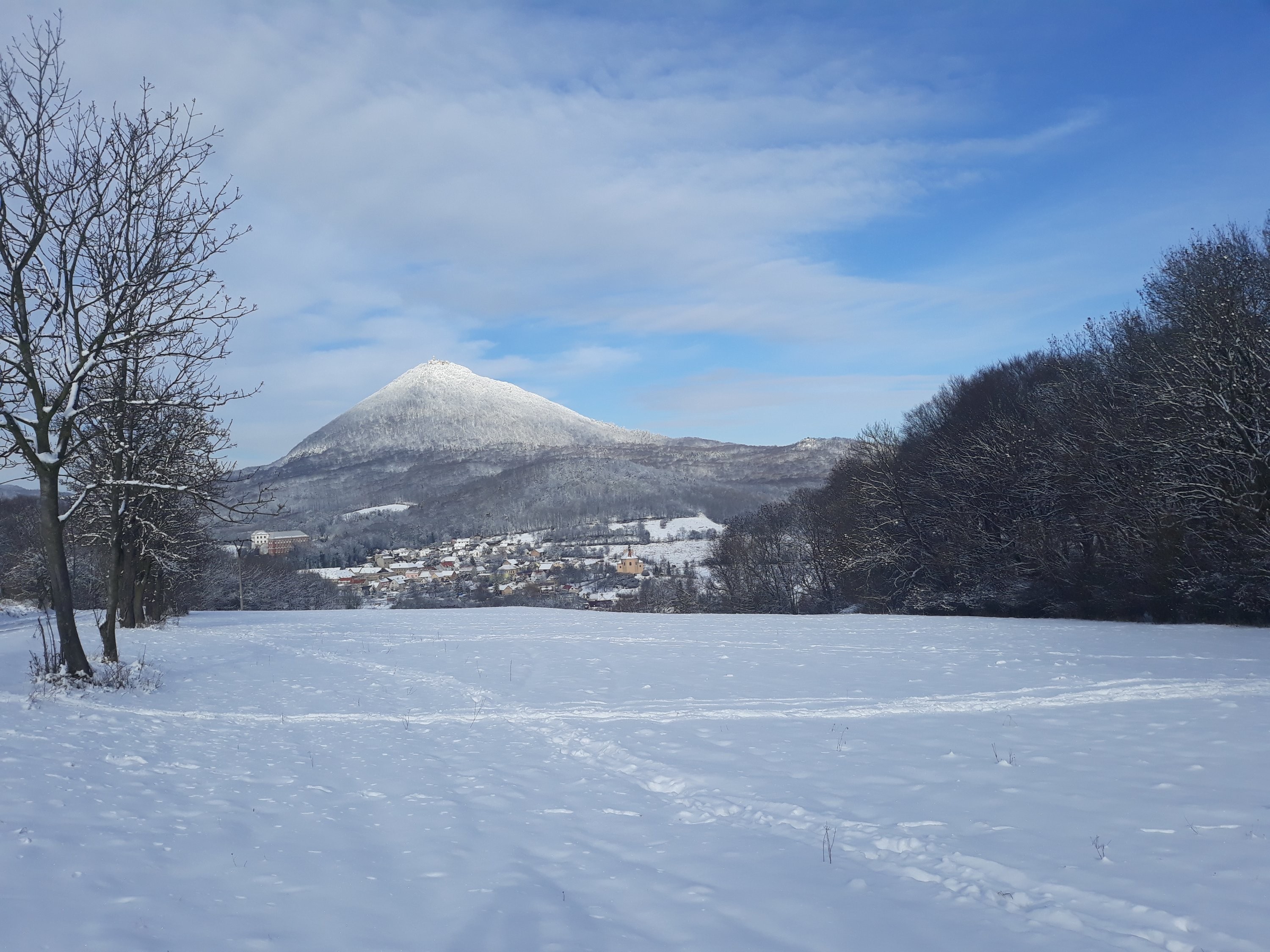 Královna v zimním hávu