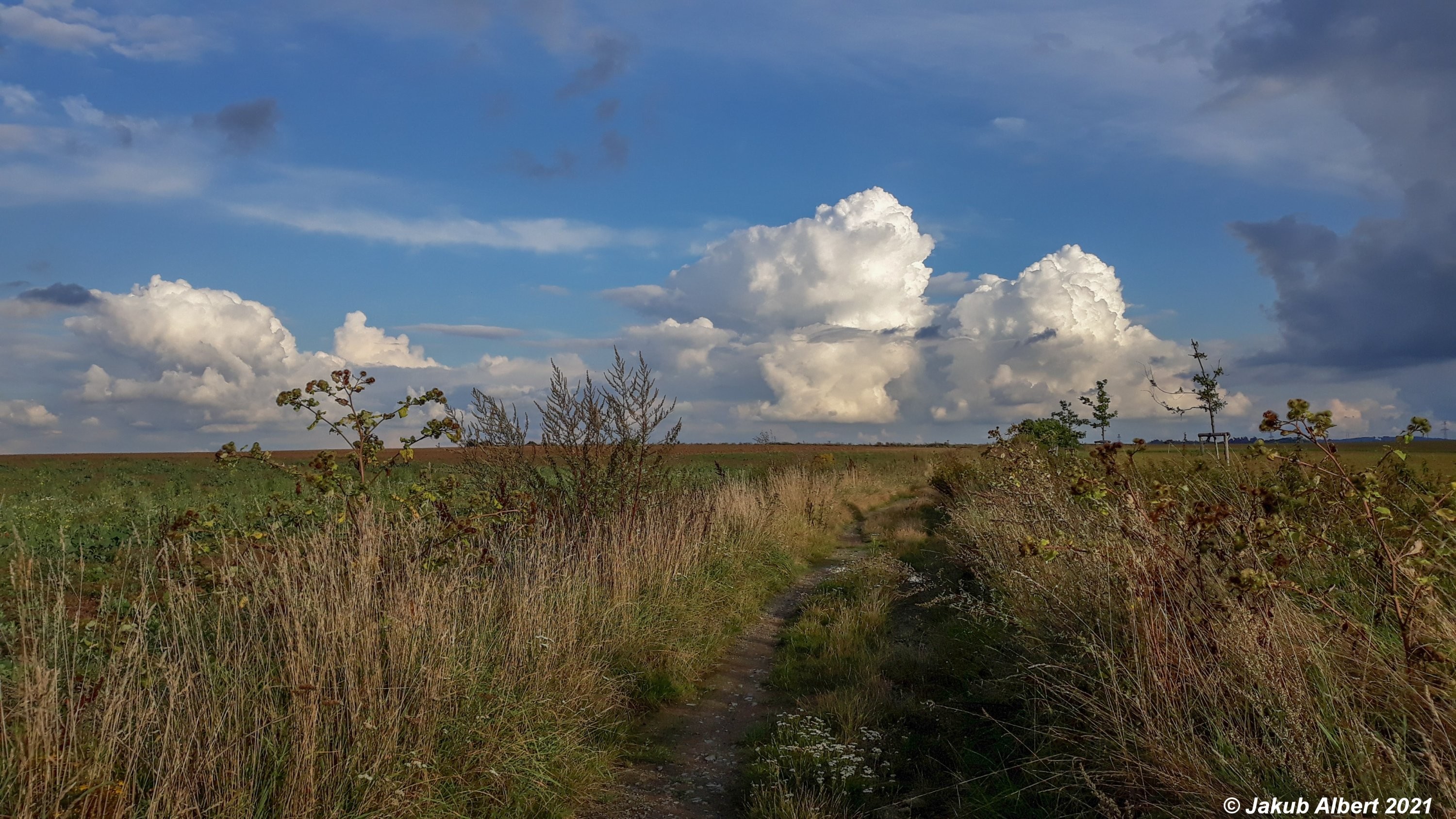 Kupovitá oblačnost