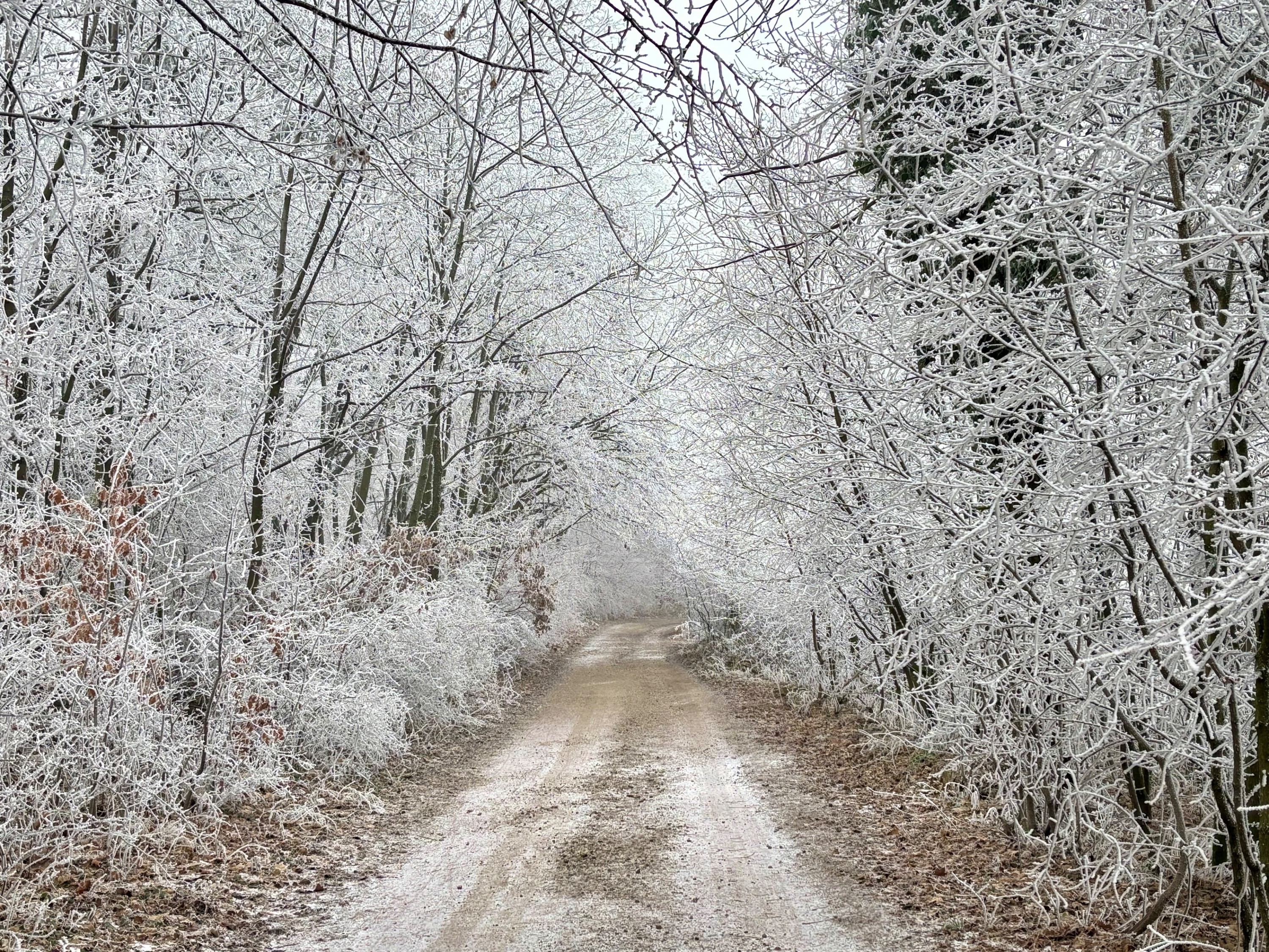 Zima v Malych Karpatoch
