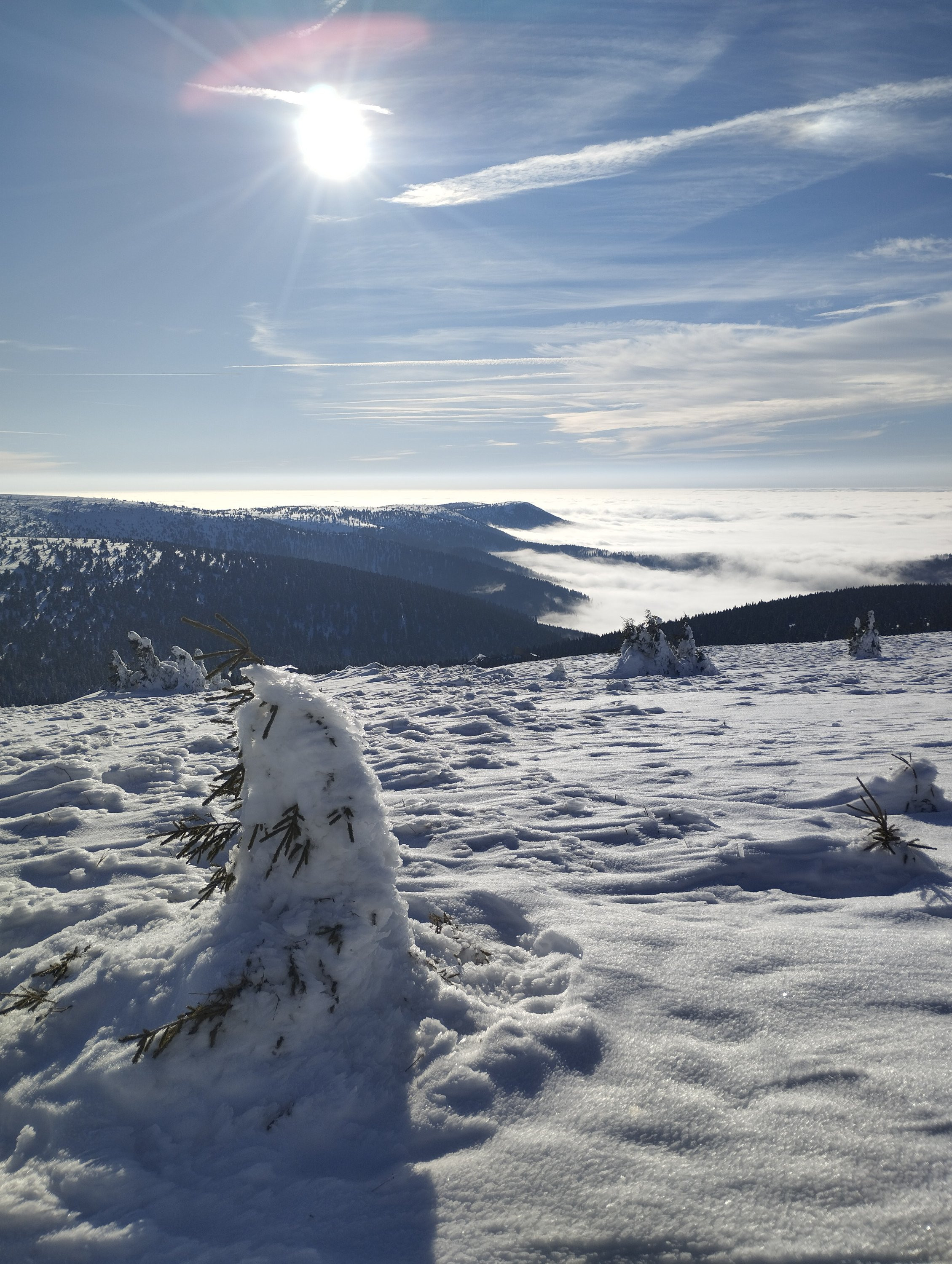Hory nad nízkou oblačností