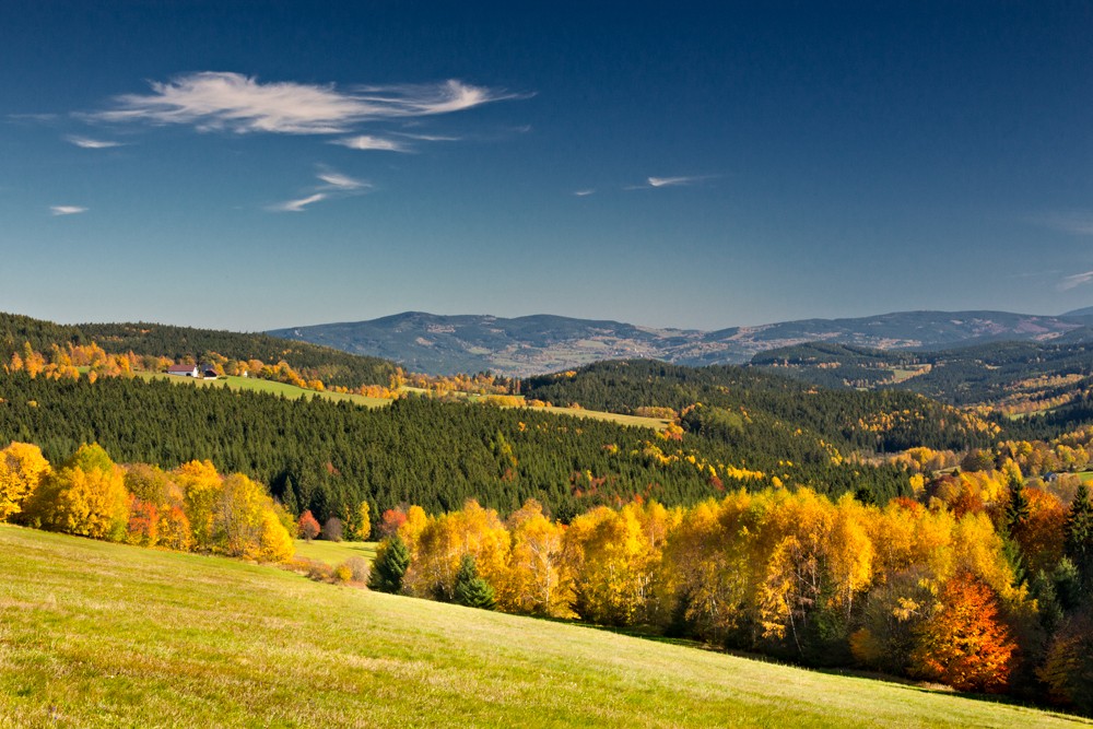 Šumava
