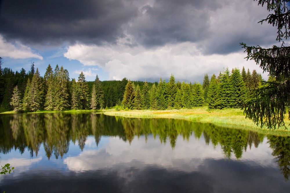 Polecká nádrž na Šumavě