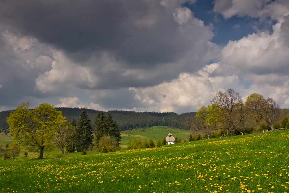 Šumava