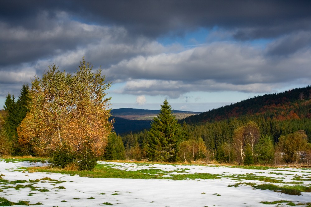 Šumava