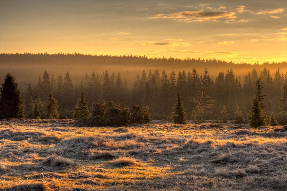 Šumava - Tříjezerní slať