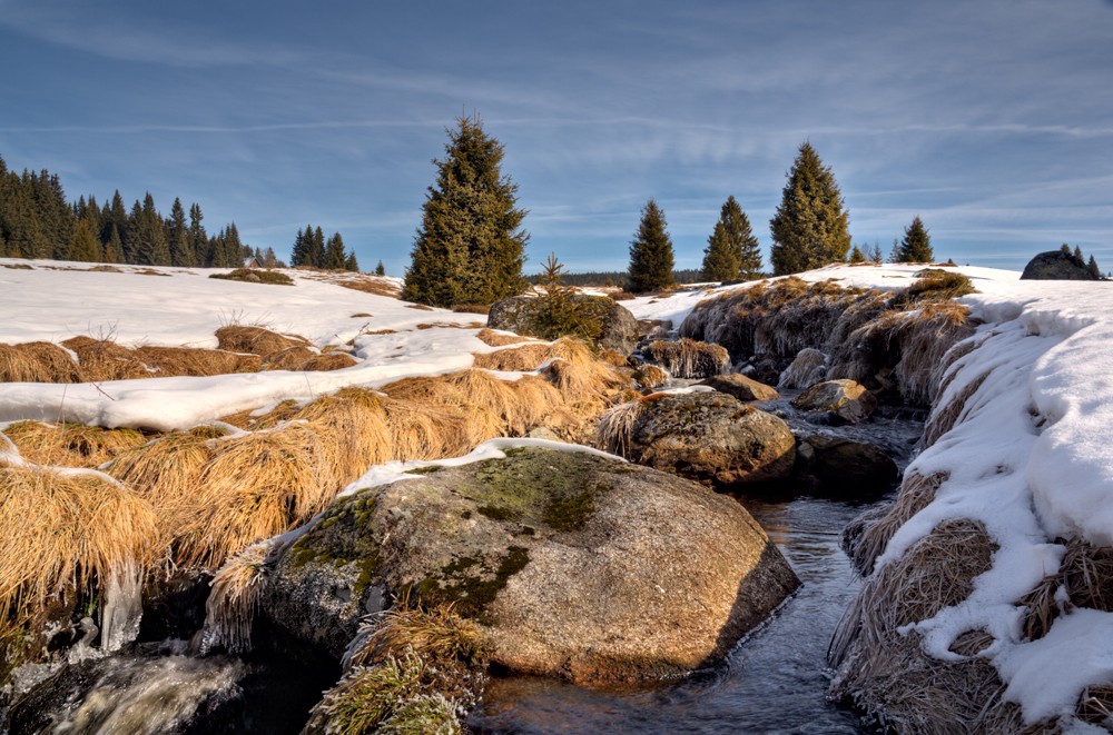 Šumava - příchod jara