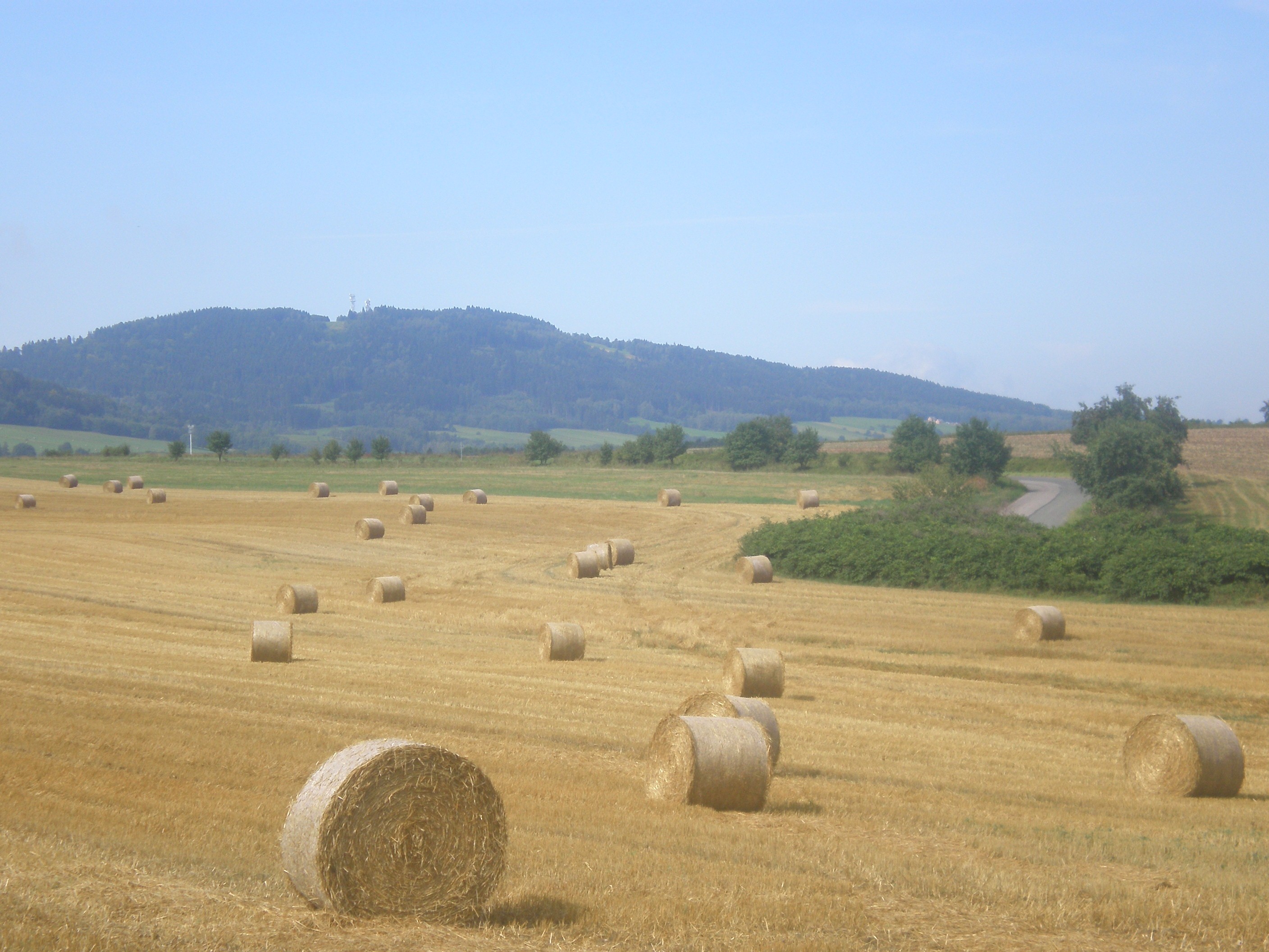 Královédvorsko ke konci léta