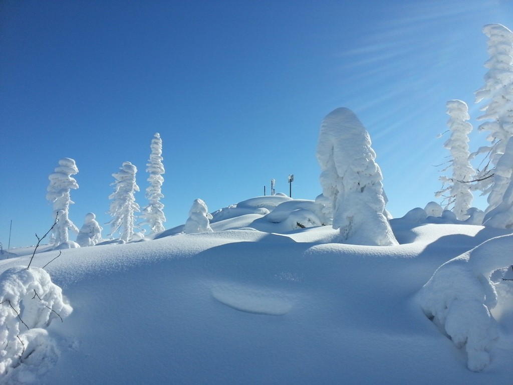 Šumava - vrchol Plechý