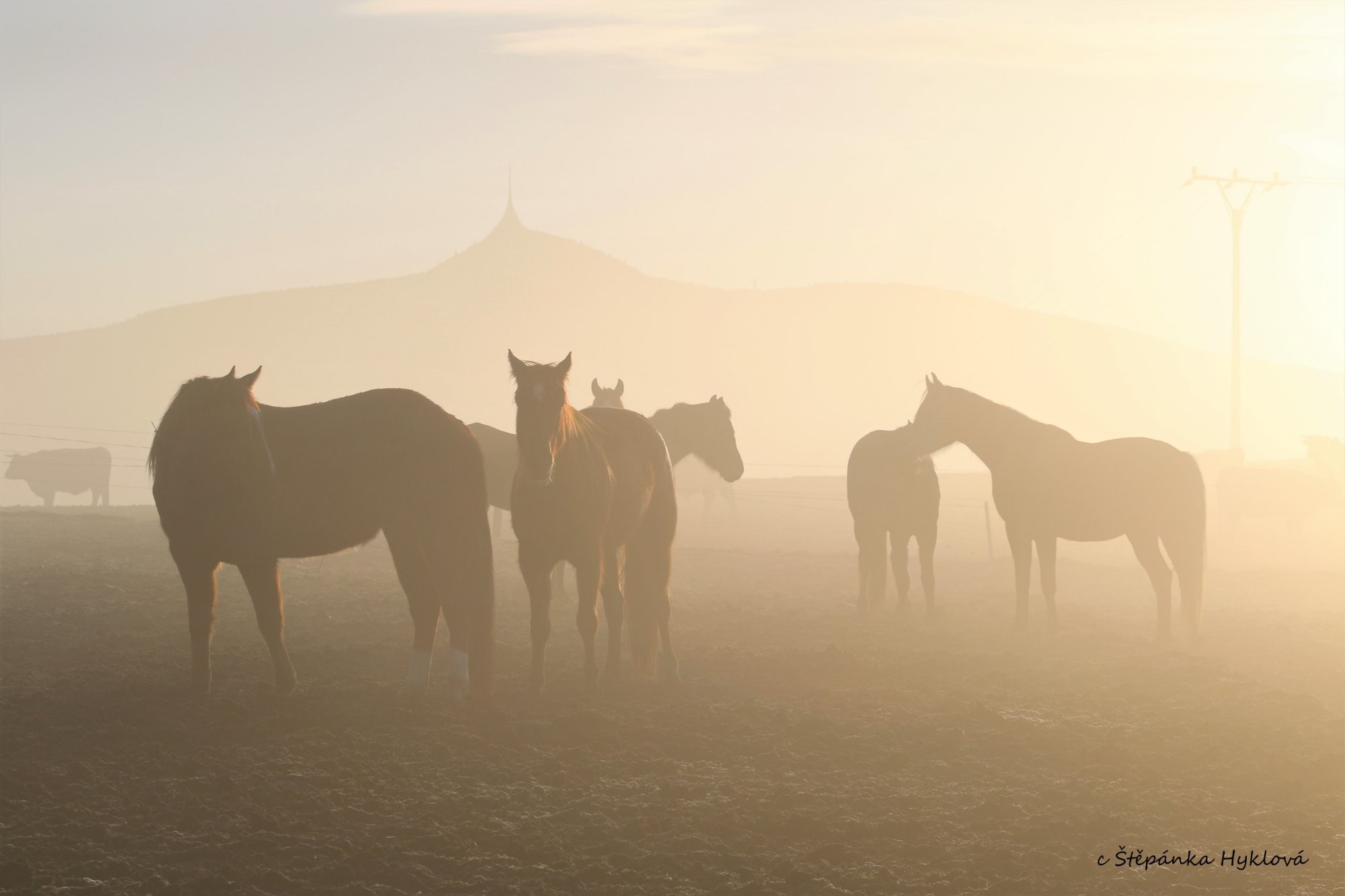 Svítání v podještědí
