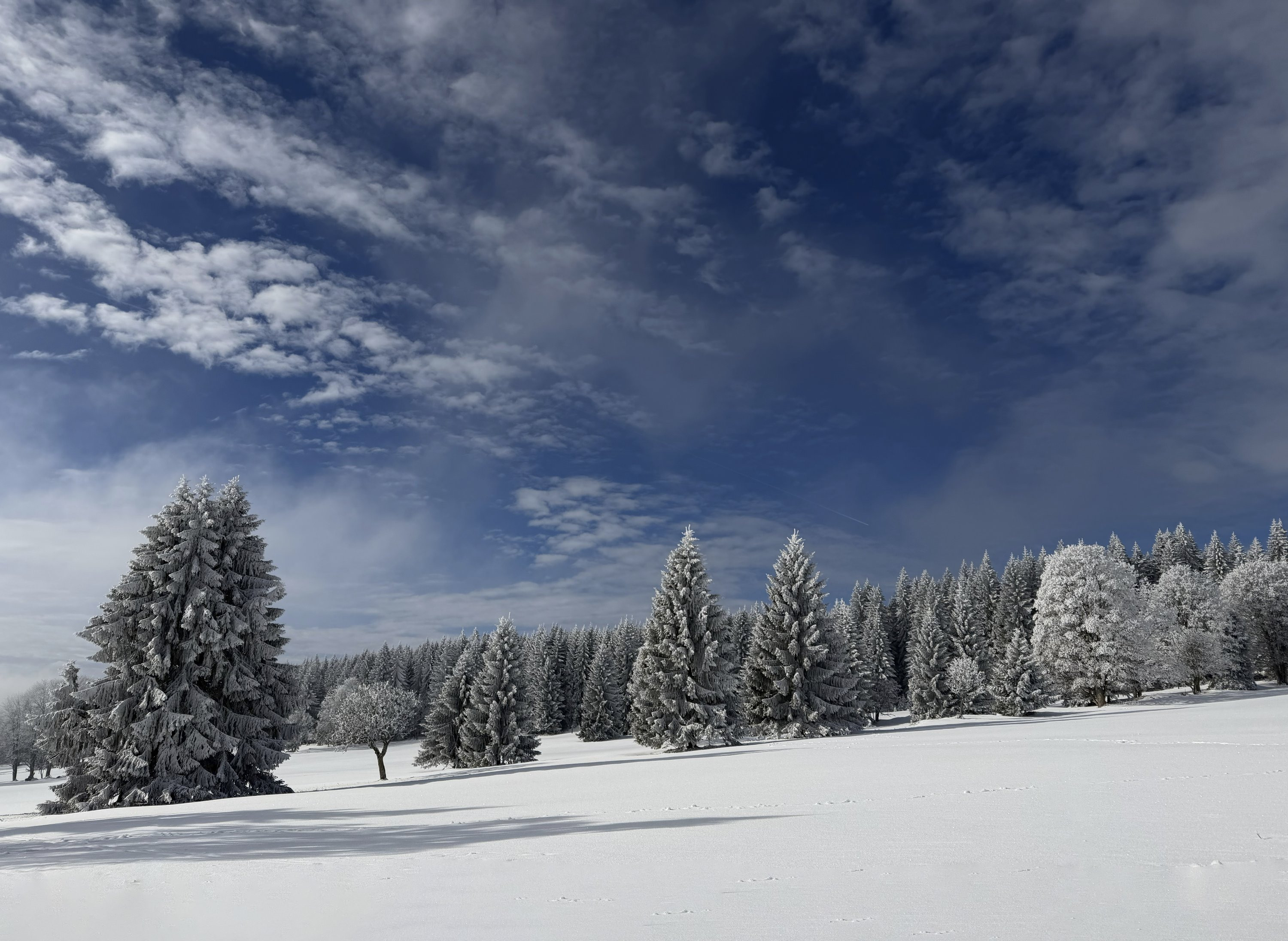 Zimní Bučina na Šumavě