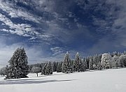 Zimní Bučina na Šumavě