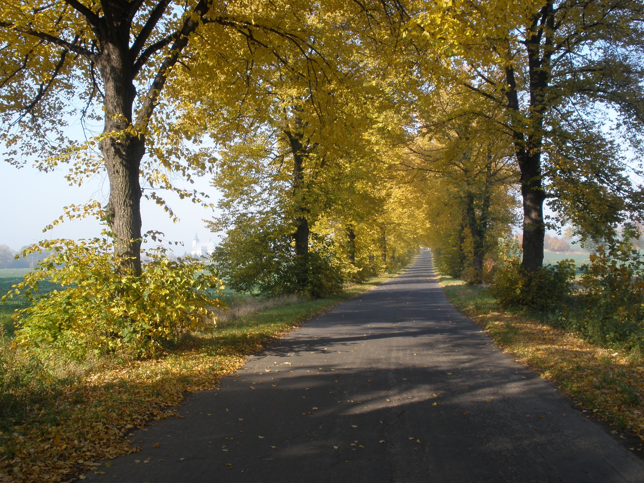 Podzimní melancholie
