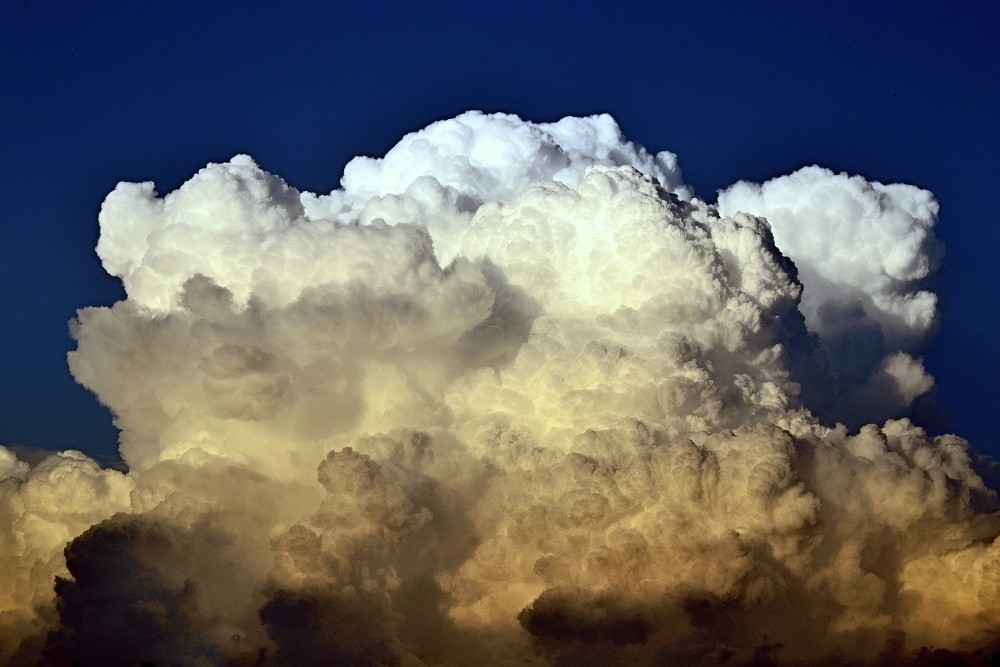 Cumulus congestus