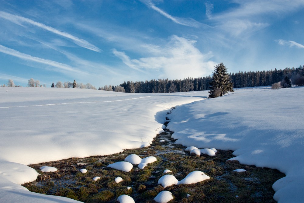 Šumava