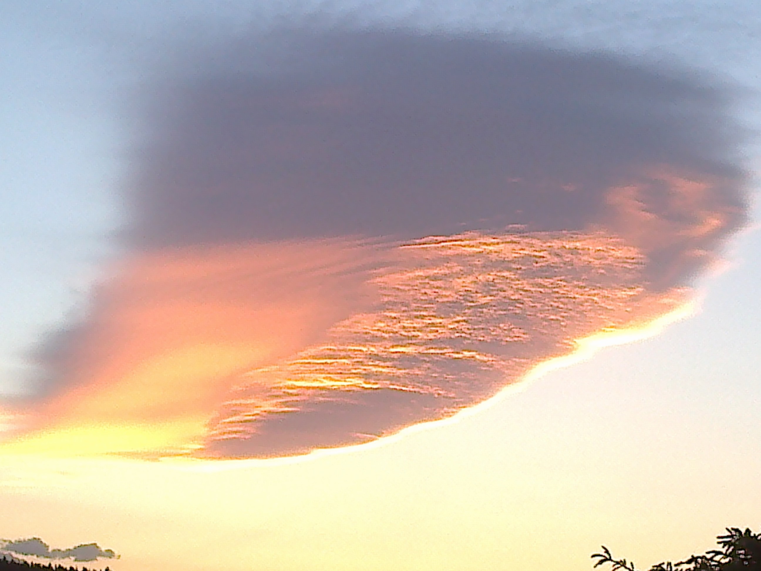 Altocumulus lenticularis