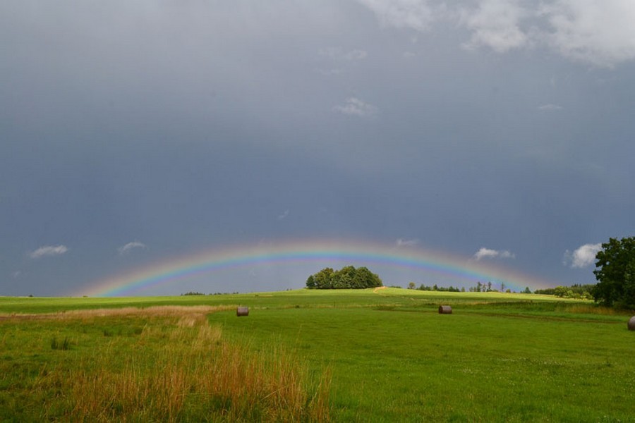 Duha nad loukou