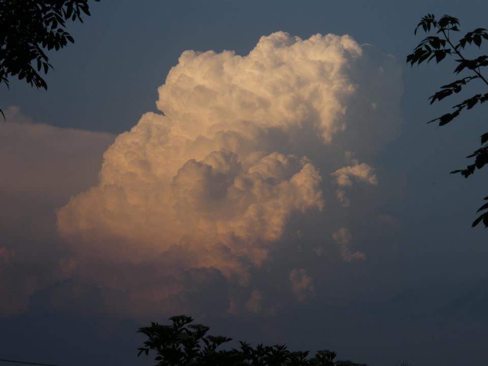 Cumulus congestus