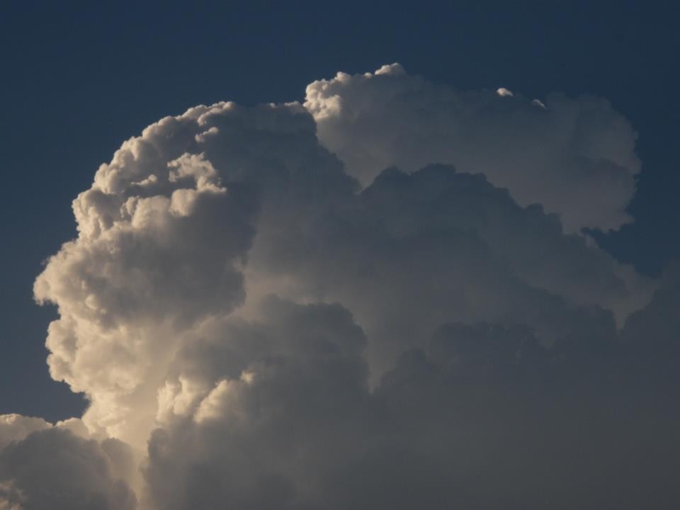 Cumulus congestus