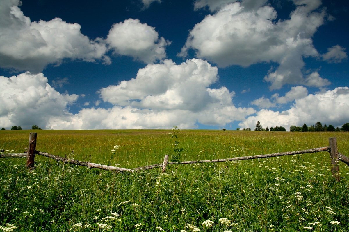 Kepelské Zhůří (Šumava)