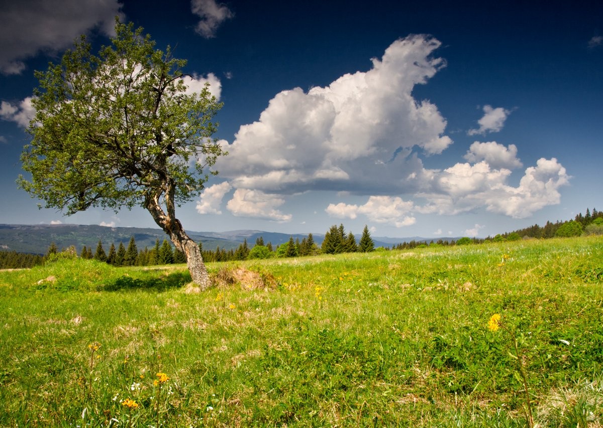 Zhůří (u Horské Kvildy)