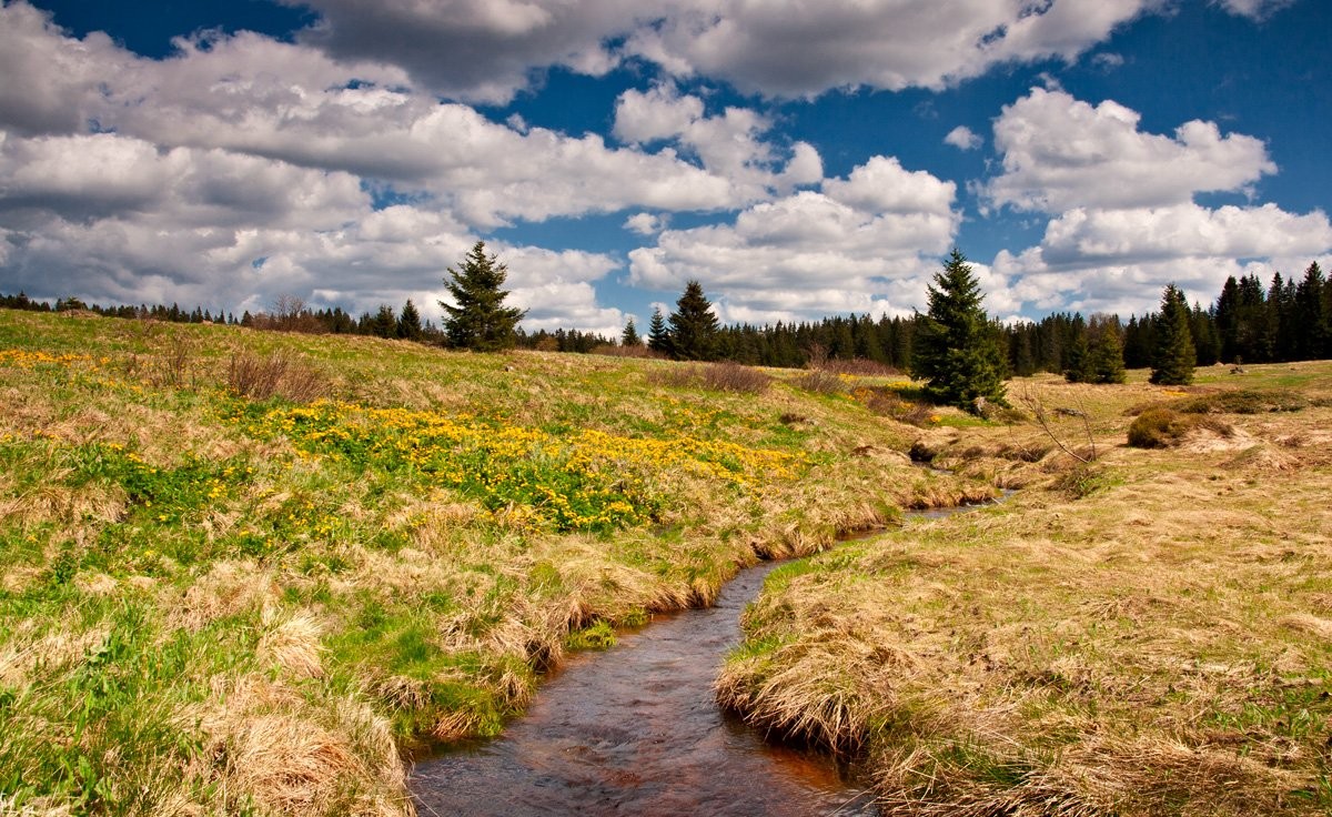 Filipova Huť (Šumava)